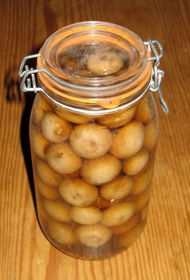 Pink Pickled Onions